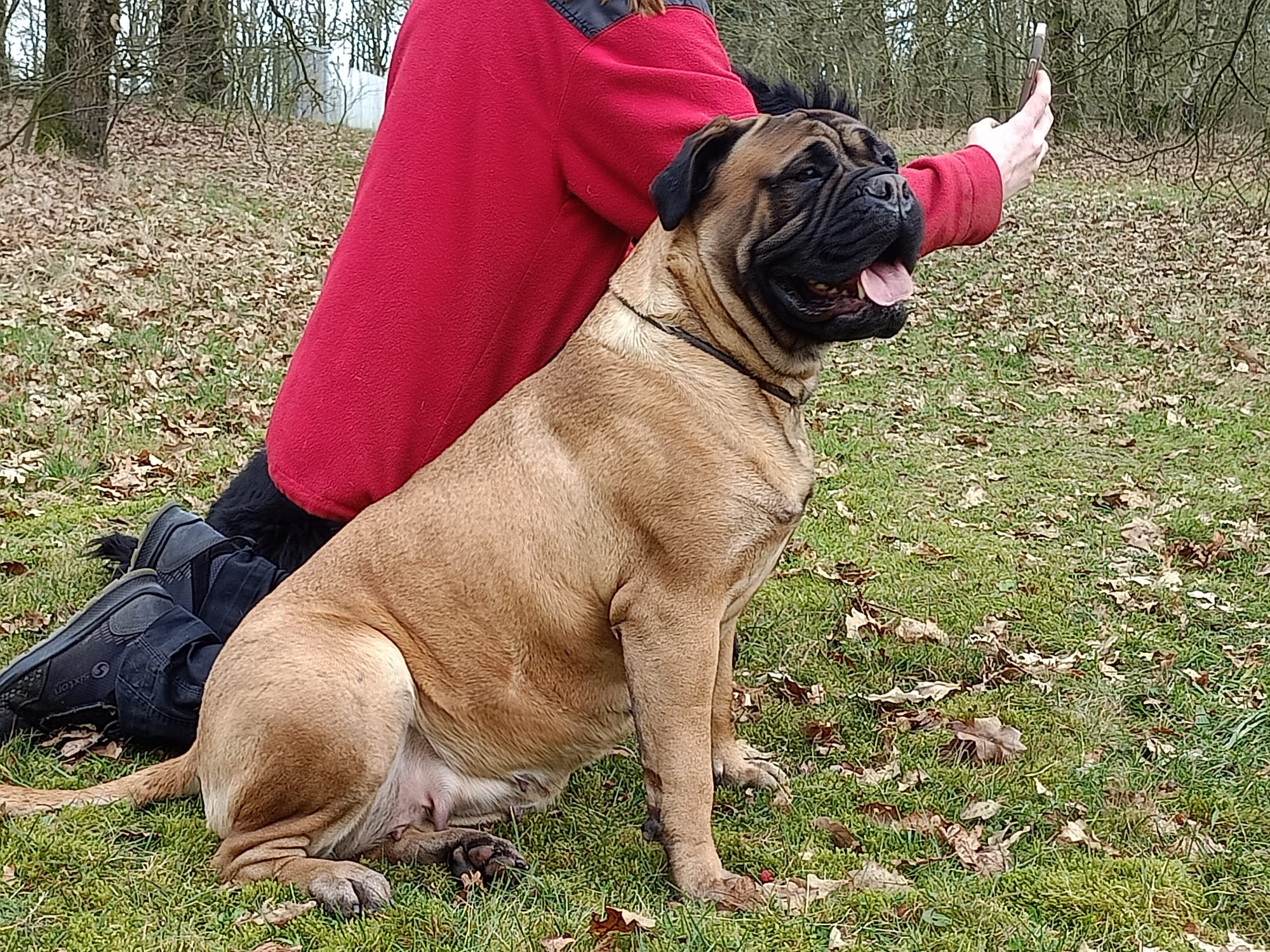 Sophie lekker mee naar het veld....