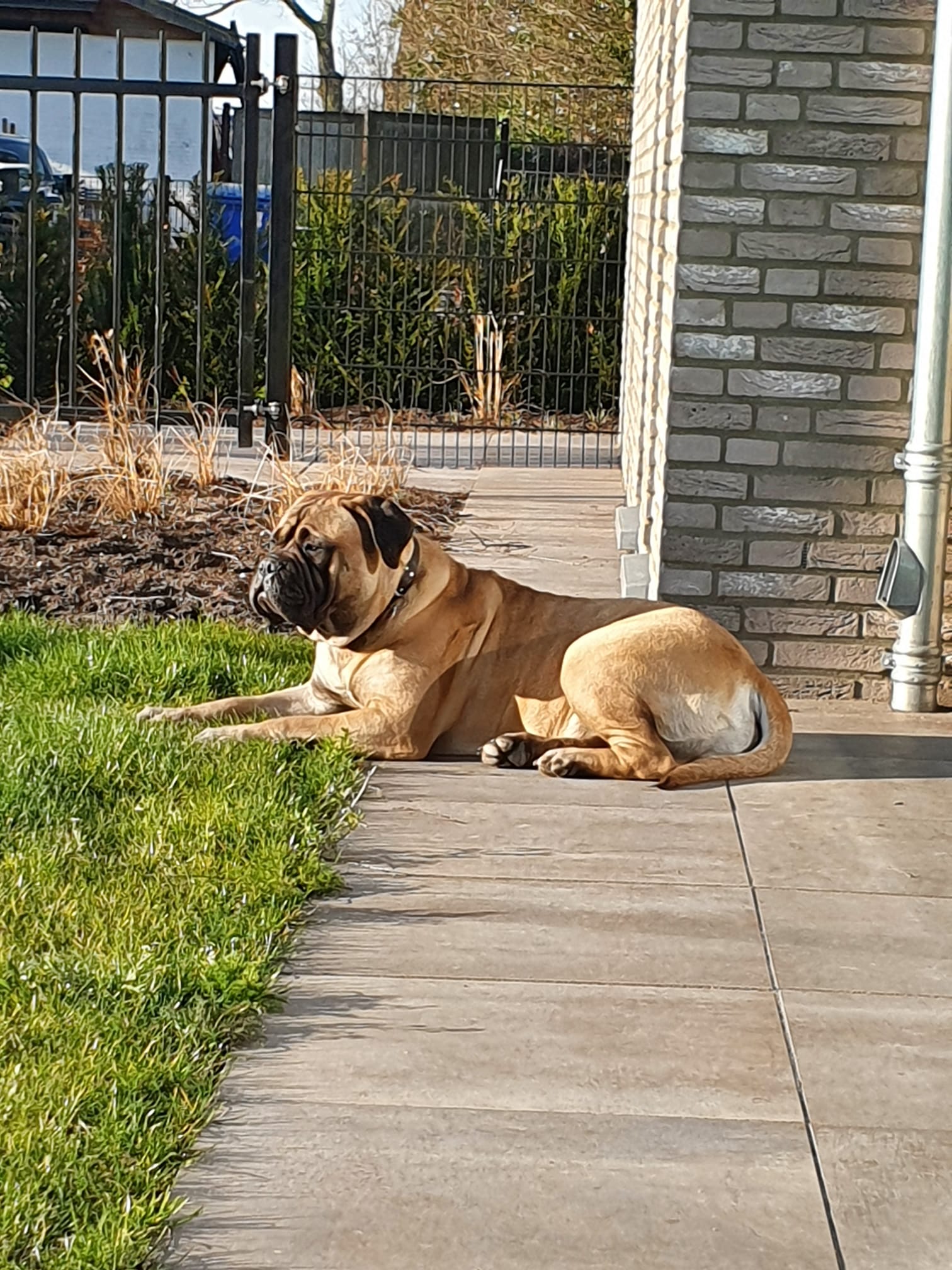 Pien, dochter van Sophie ,1 jaar...