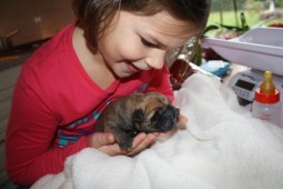 Janoutje met een puppy