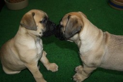 Broertje en zusje,lief ♥ ♥♥