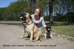 Djamie met Toulouse en de pup