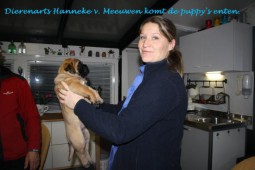 Alle puppy's kerngezond!!!