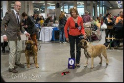 Kamp. King Lobo of the Bumble barns  de knappe papa