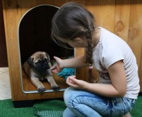 Lieke met een pup