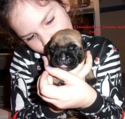 Kleindochter Janou met puppy