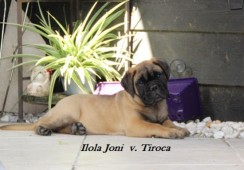lieve Lola ♥♥♥