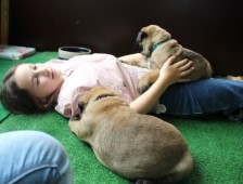 Lieke met de puppy's...