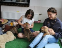 De puppy's zijn goed verwend  door de kleinkinderen gisteren