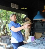 de dierenarts was zeer tevreden  alle 10 kerngezond