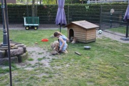 Lieke met de puppy's...