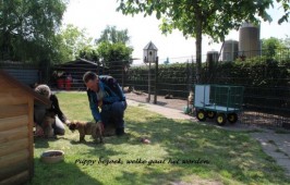 Puppy bezoek... kiezen...<BR> altijd moeilijk ,ze willen allemaal wel mee...