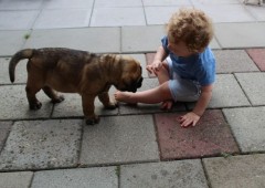 Zoooo lief....